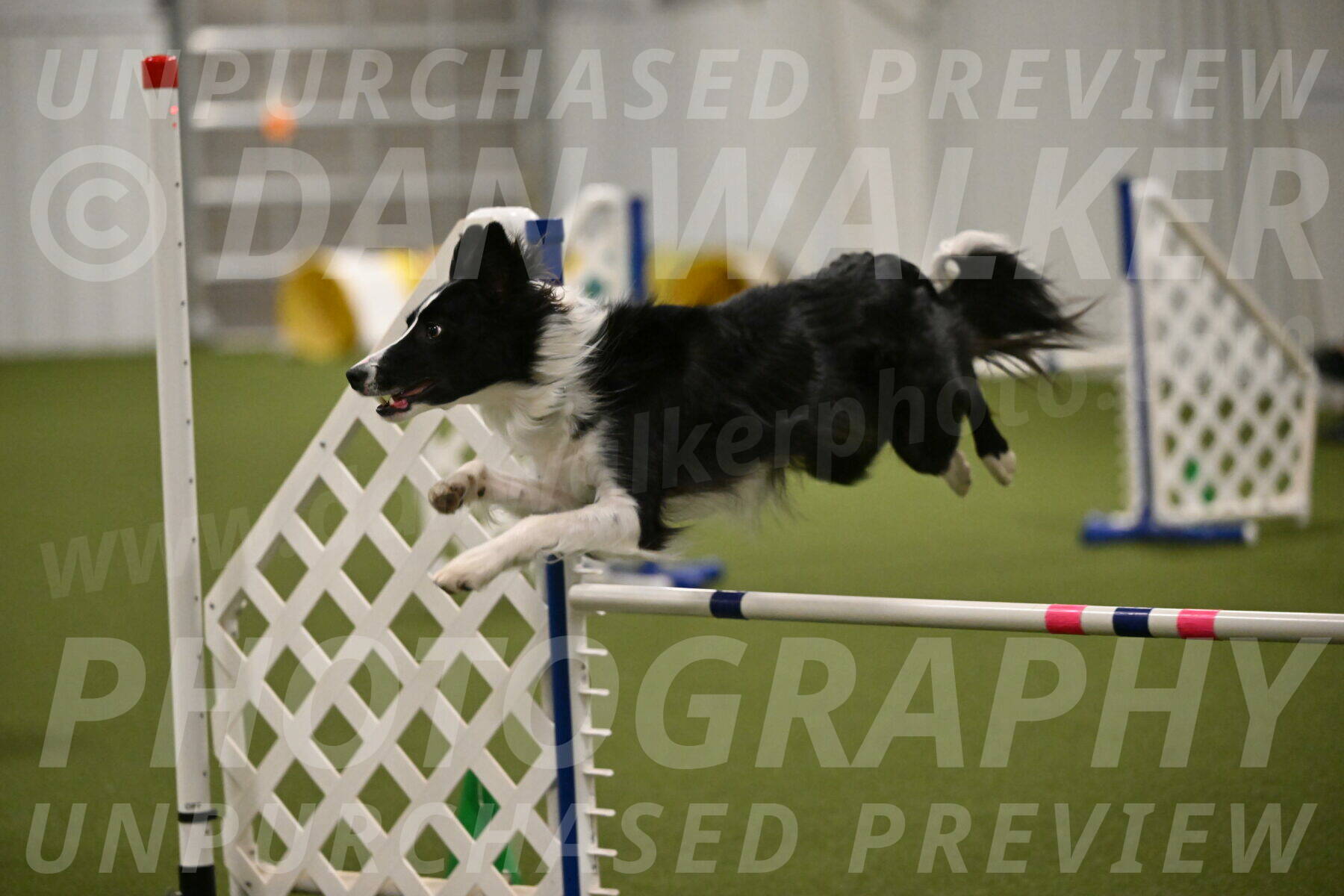 Keeper-Laurie-Wischt-03681