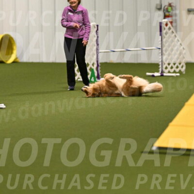 Kelly-Peggy-Abrams-06427