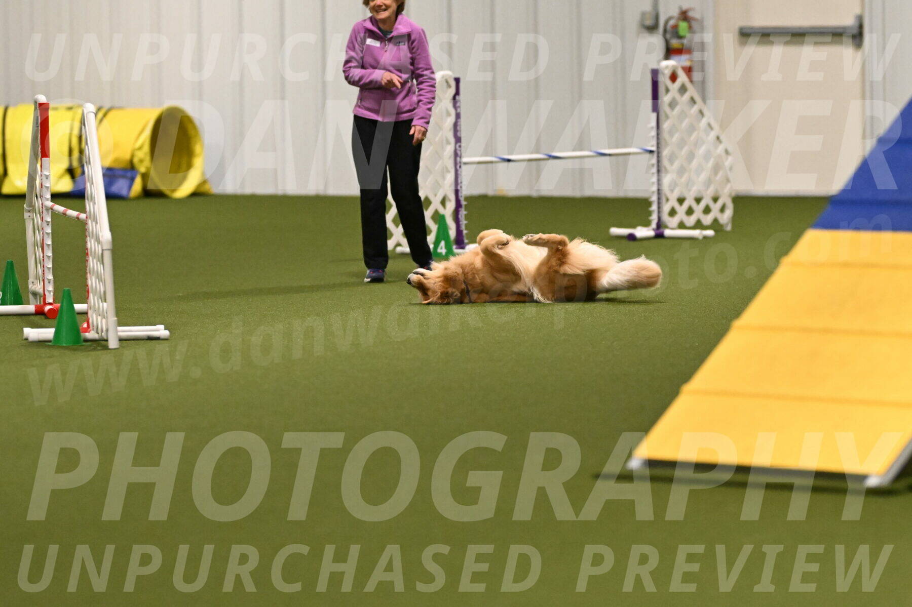 Kelly-Peggy-Abrams-06427