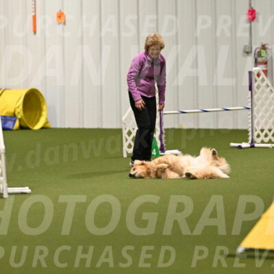 Kelly-Peggy-Abrams-06431