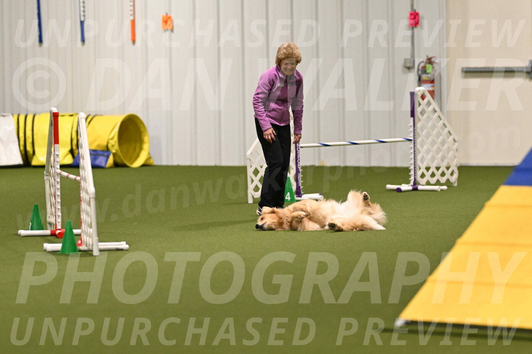 Kelly-Peggy-Abrams-06431