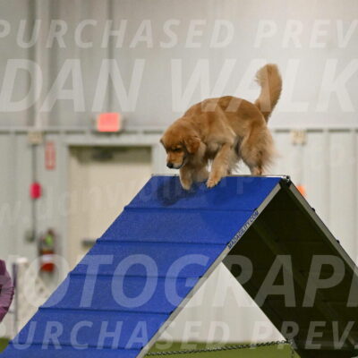 Kelly-Peggy-Abrams-06433