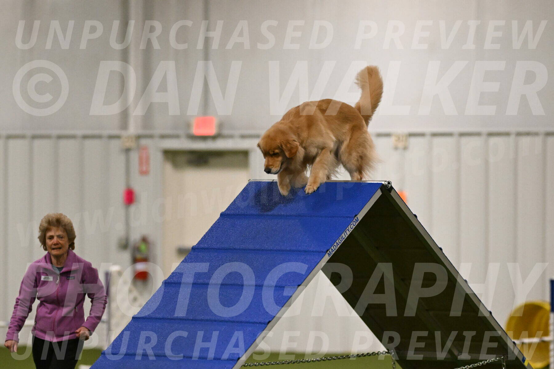 Kelly-Peggy-Abrams-06433