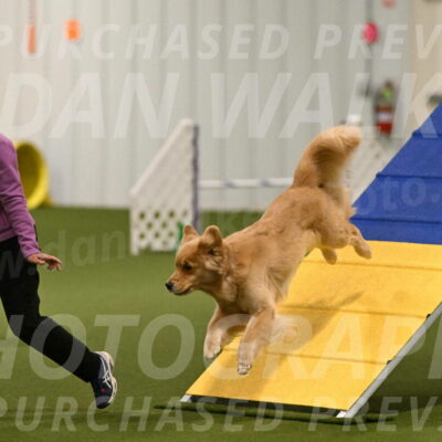 Kelly-Peggy-Abrams-06434