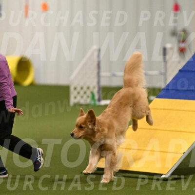 Kelly-Peggy-Abrams-06435