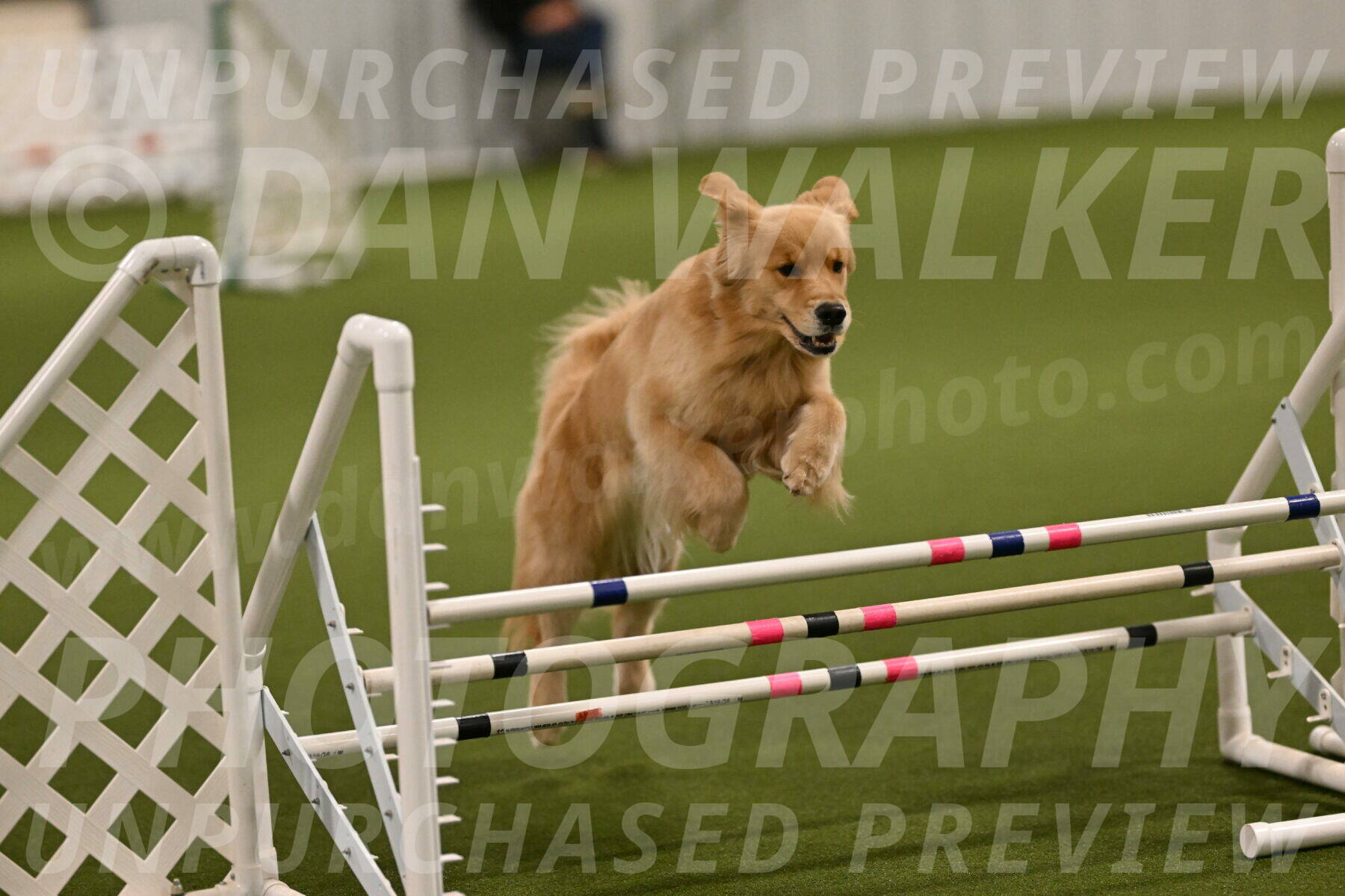 Kelly-Peggy-Abrams-06436