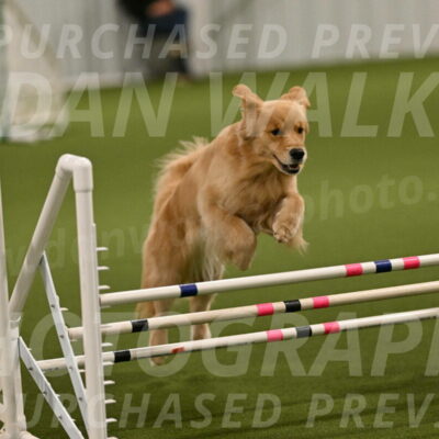 Kelly-Peggy-Abrams-06436