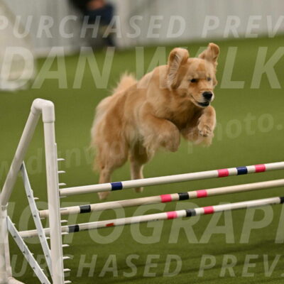 Kelly-Peggy-Abrams-06437