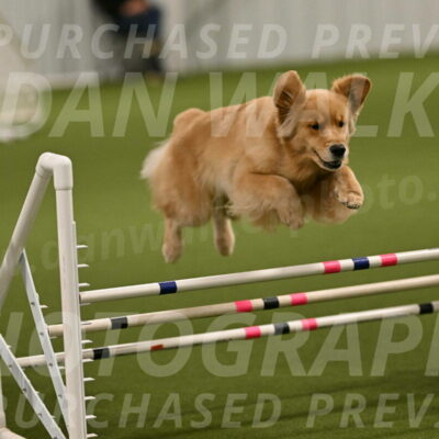 Kelly-Peggy-Abrams-06438