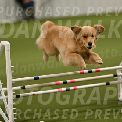 Kelly-Peggy-Abrams-06439