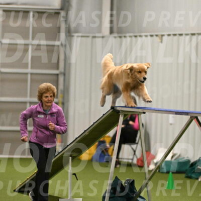 Kelly-Peggy-Abrams-06440