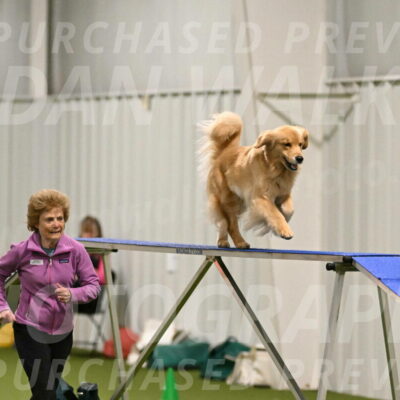 Kelly-Peggy-Abrams-06441