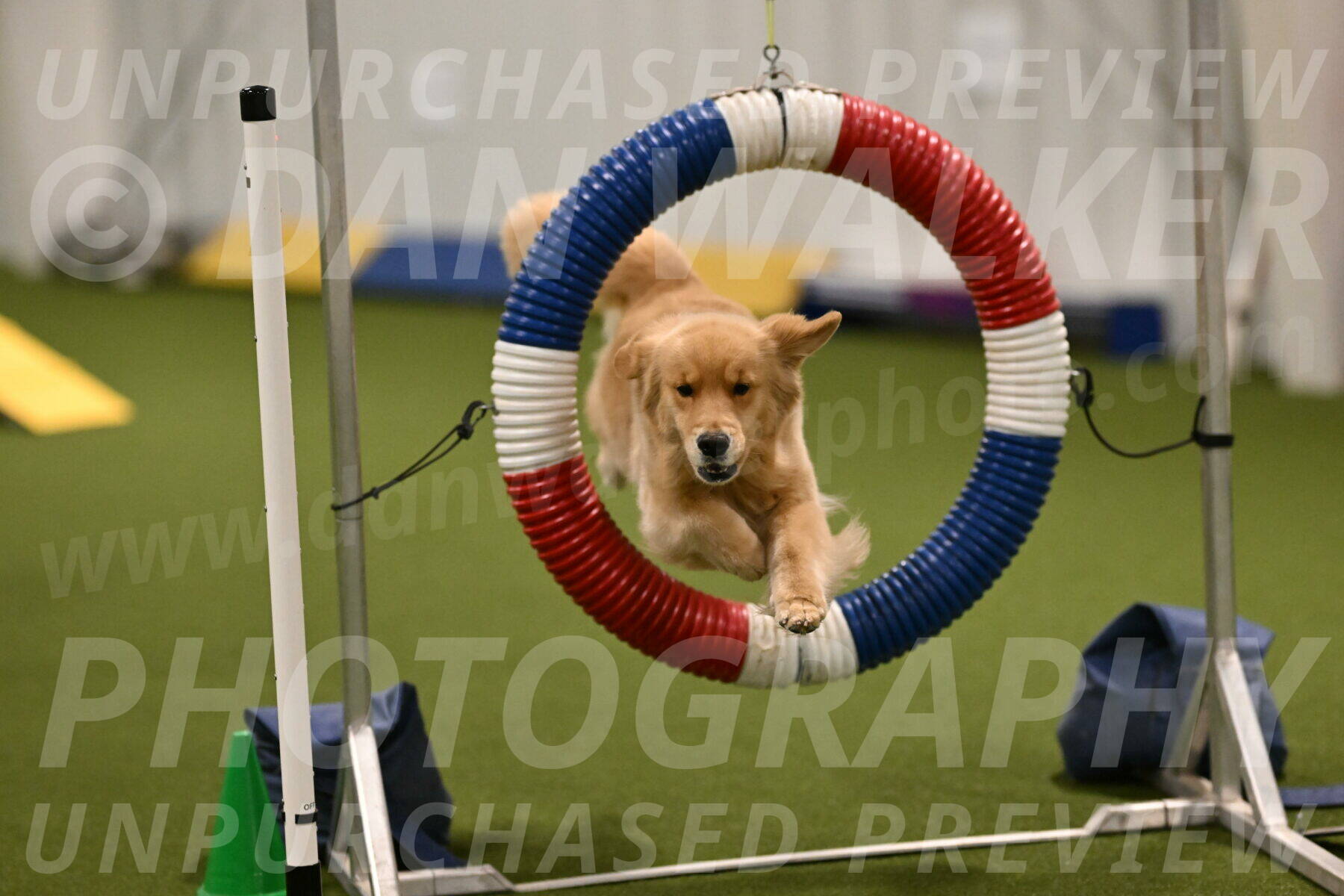 Kelly-Peggy-Abrams-06442