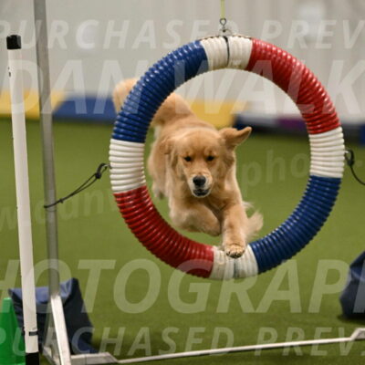 Kelly-Peggy-Abrams-06442