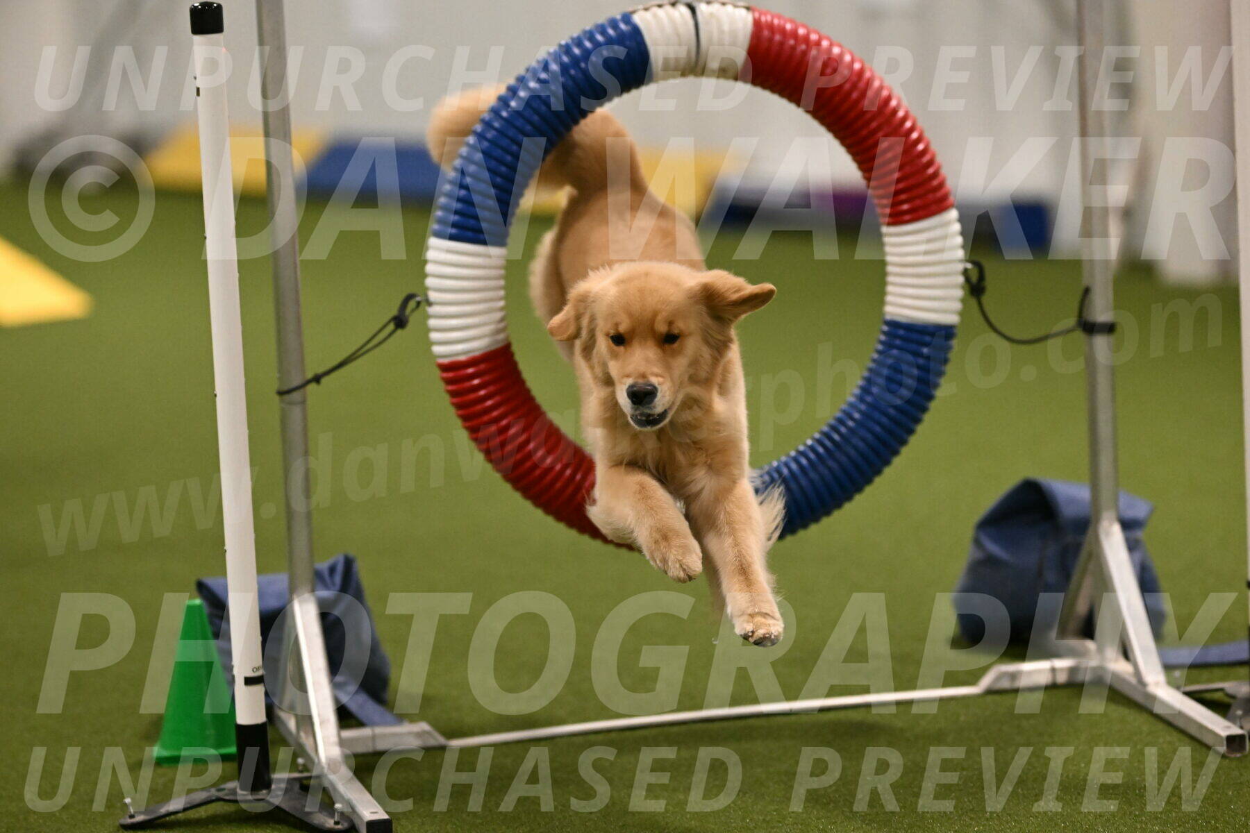 Kelly-Peggy-Abrams-06443