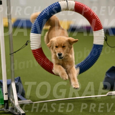 Kelly-Peggy-Abrams-06443