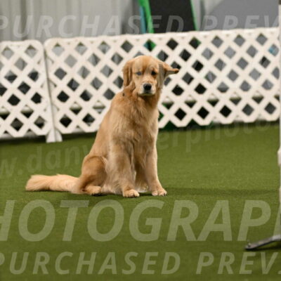 Kelly-Peggy-Abrams-06444