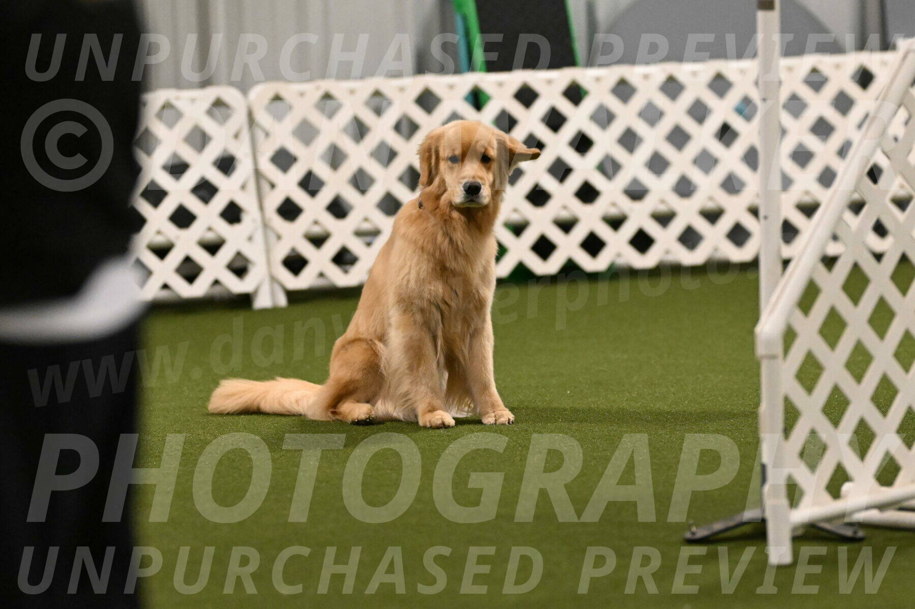 Kelly-Peggy-Abrams-06444