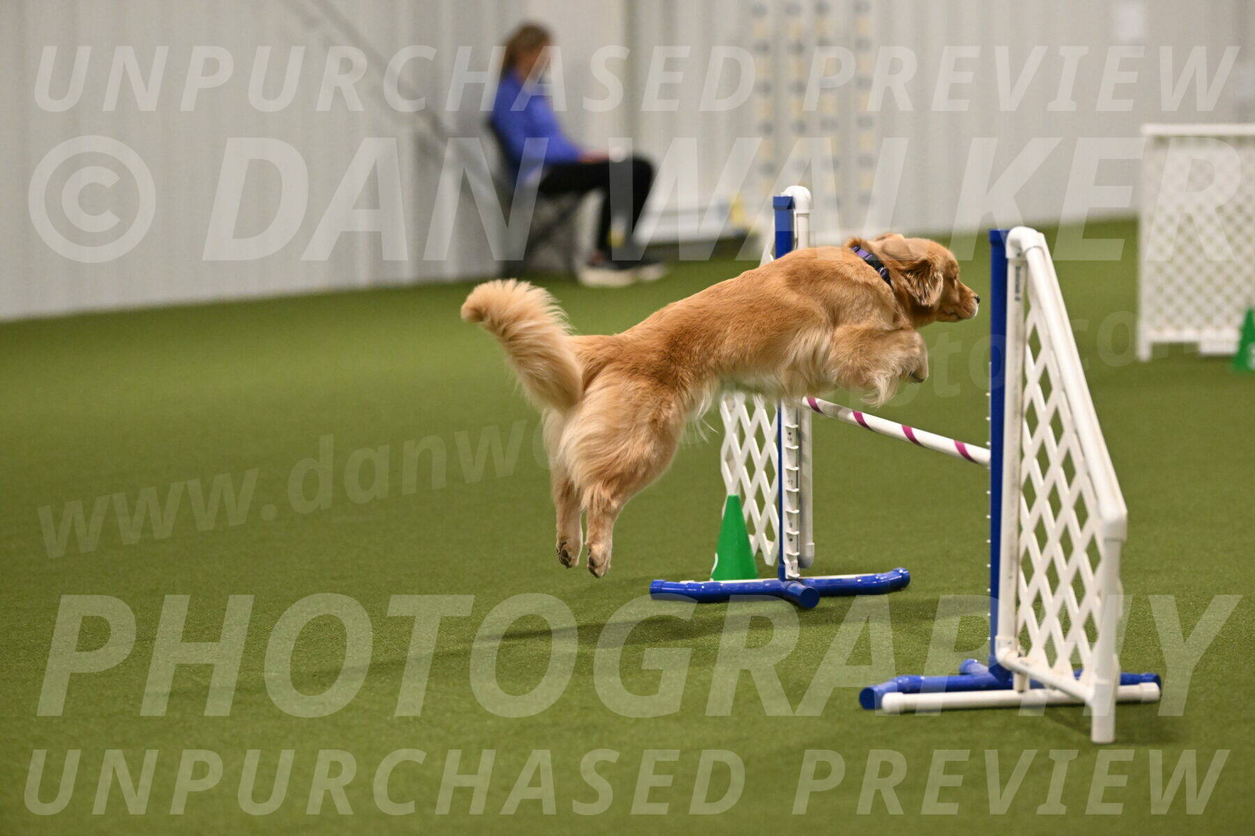 Kelly-Peggy-Abrams-06445