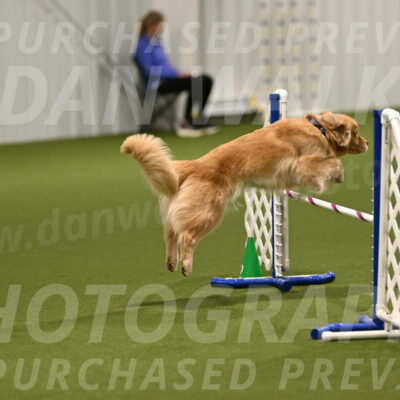 Kelly-Peggy-Abrams-06445