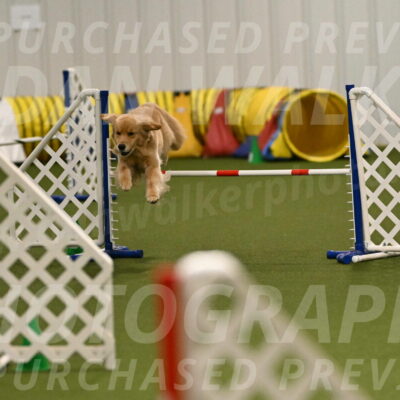 Kelly-Peggy-Abrams-06446