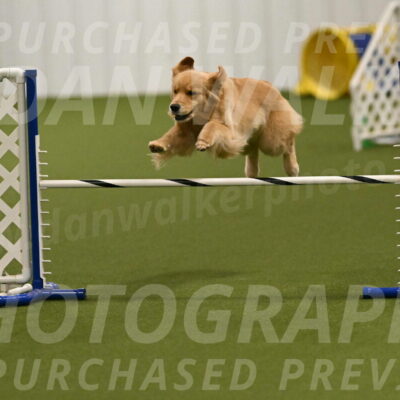 Kelly-Peggy-Abrams-06447