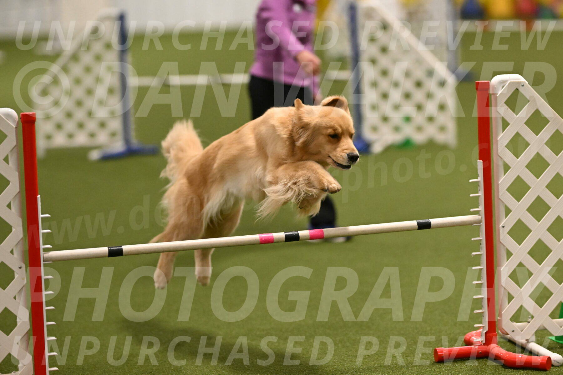 Kelly-Peggy-Abrams-06448