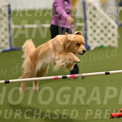 Kelly-Peggy-Abrams-06448