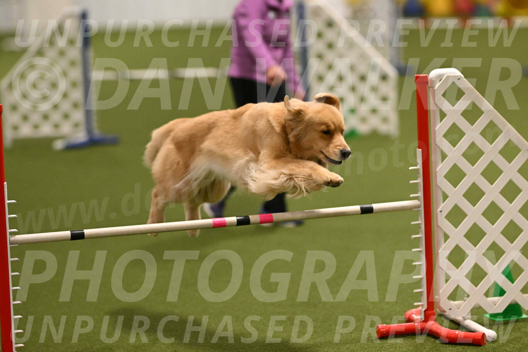 Kelly-Peggy-Abrams-06449