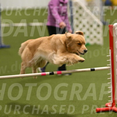 Kelly-Peggy-Abrams-06449