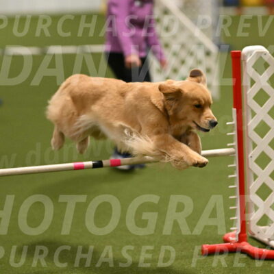 Kelly-Peggy-Abrams-06450