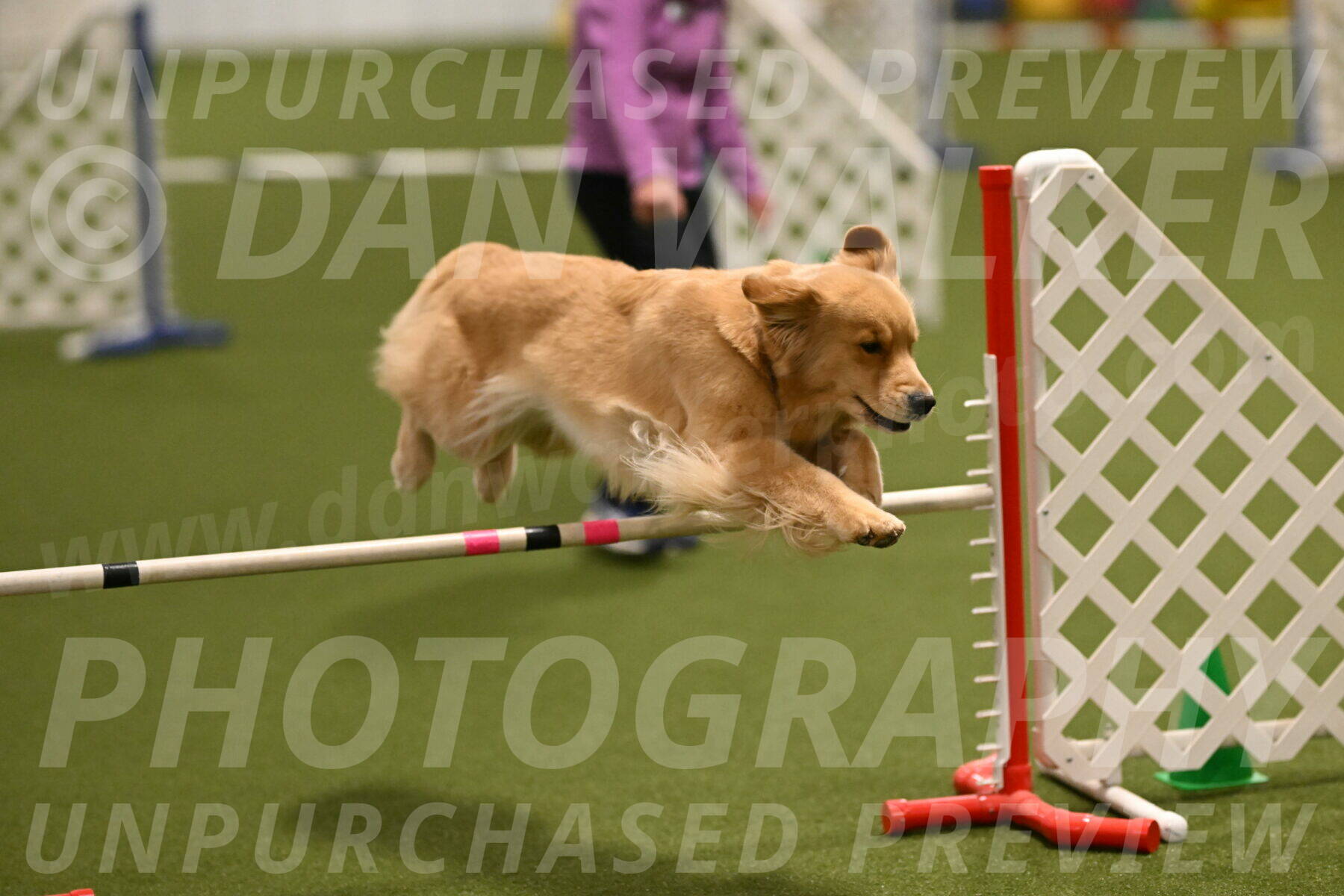 Kelly-Peggy-Abrams-06450