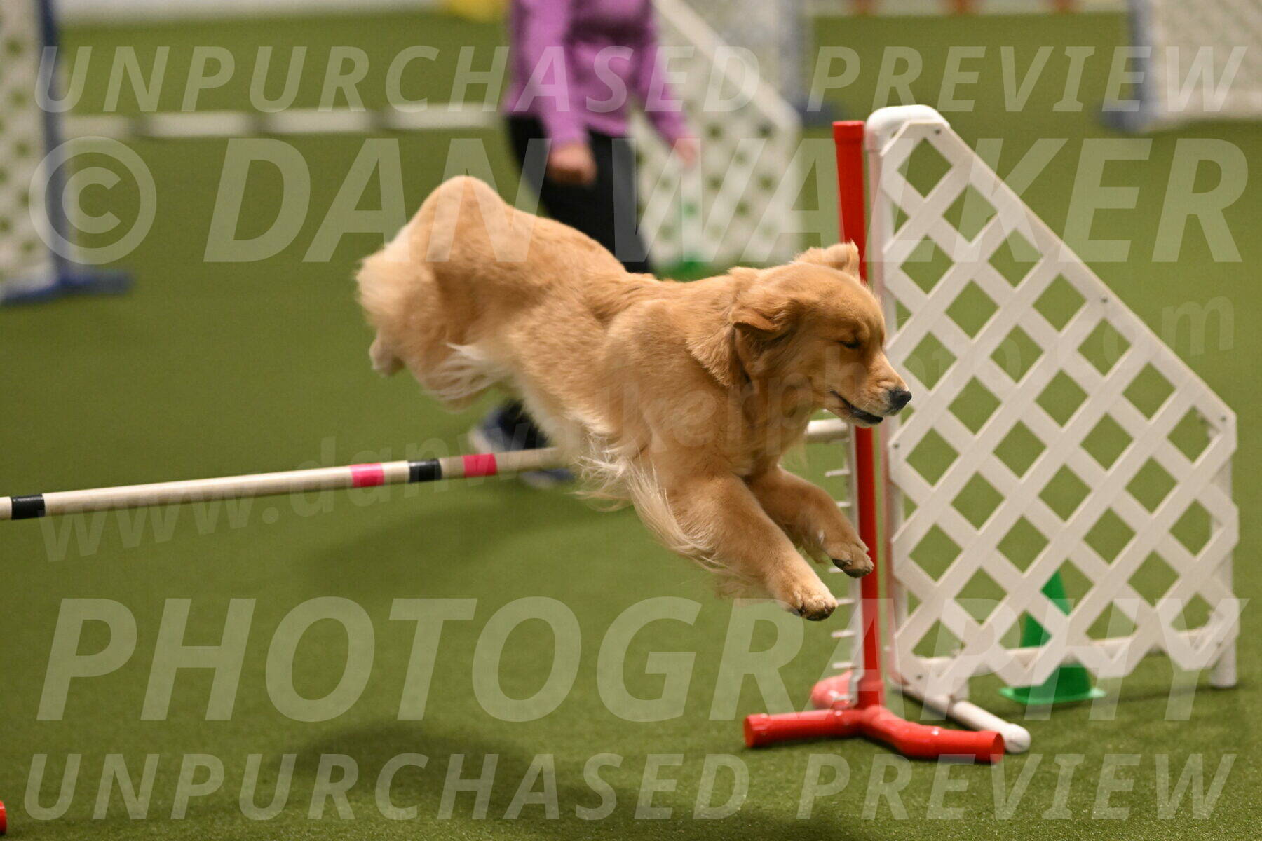 Kelly-Peggy-Abrams-06451