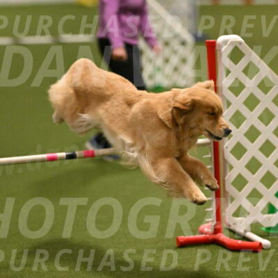 Kelly-Peggy-Abrams-06451