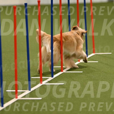 Kelly-Peggy-Abrams-06452