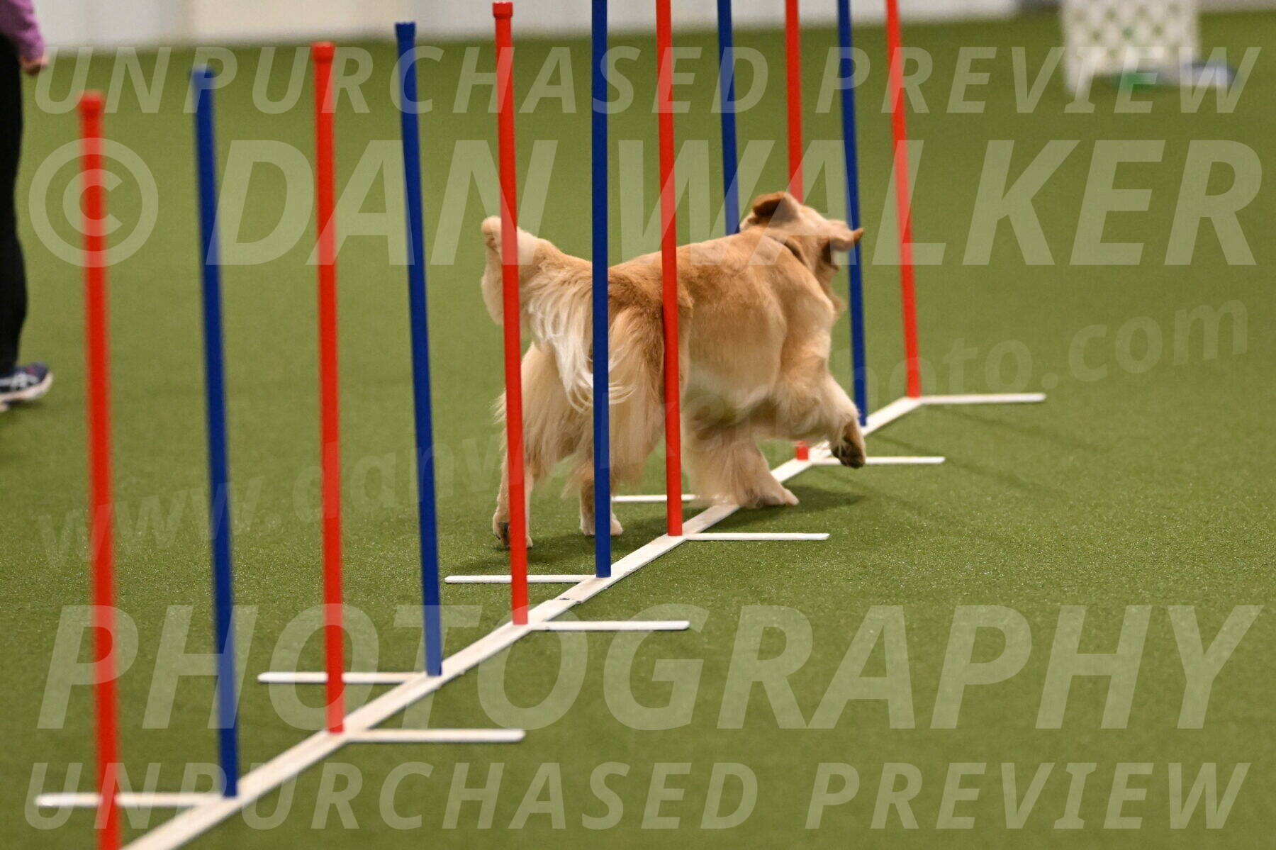 Kelly-Peggy-Abrams-06452