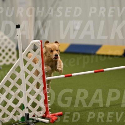 Kelly-Peggy-Abrams-06453