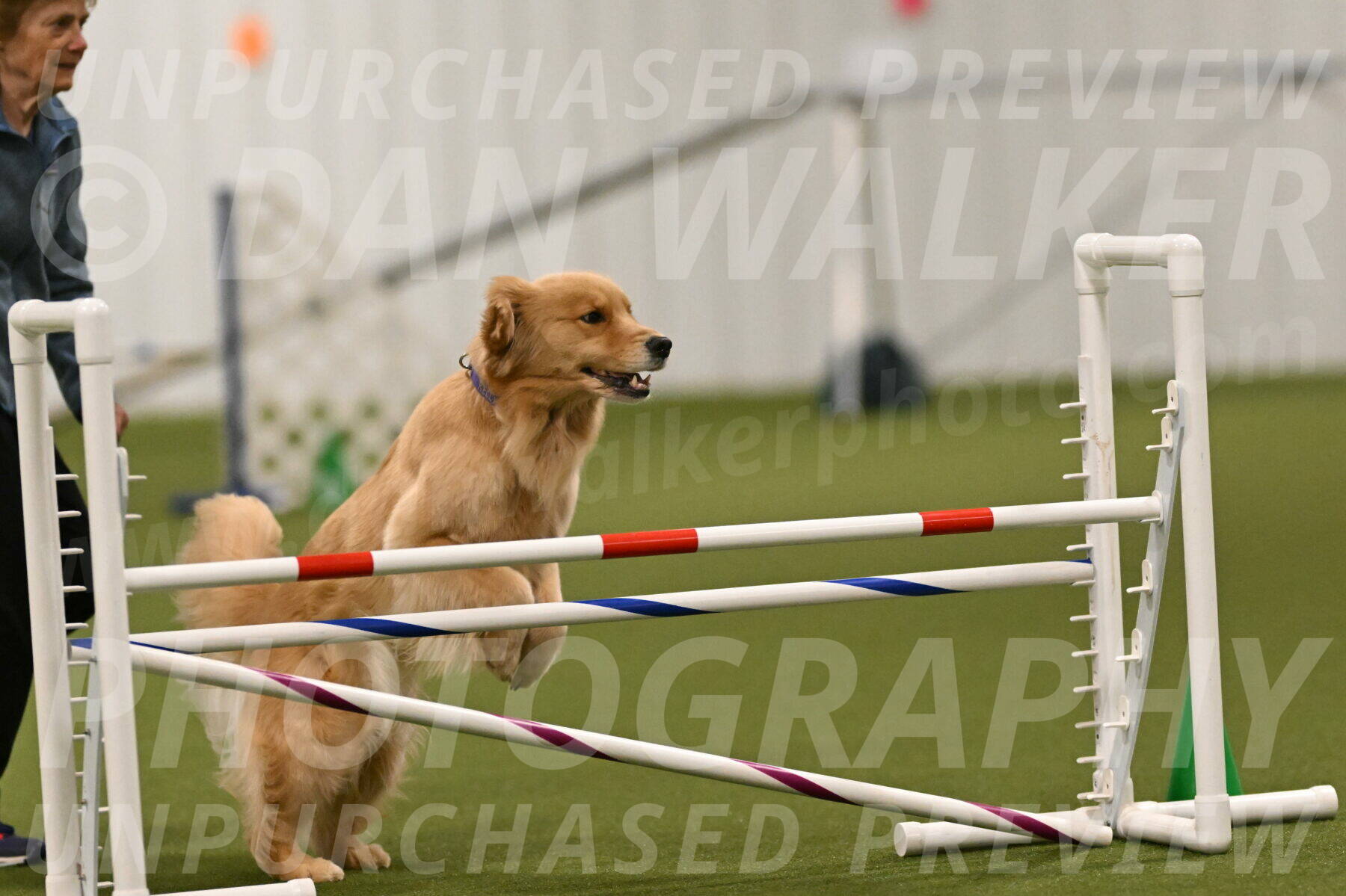 Kelly-Peggy-Abrams-06454