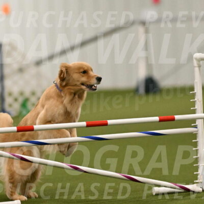 Kelly-Peggy-Abrams-06454