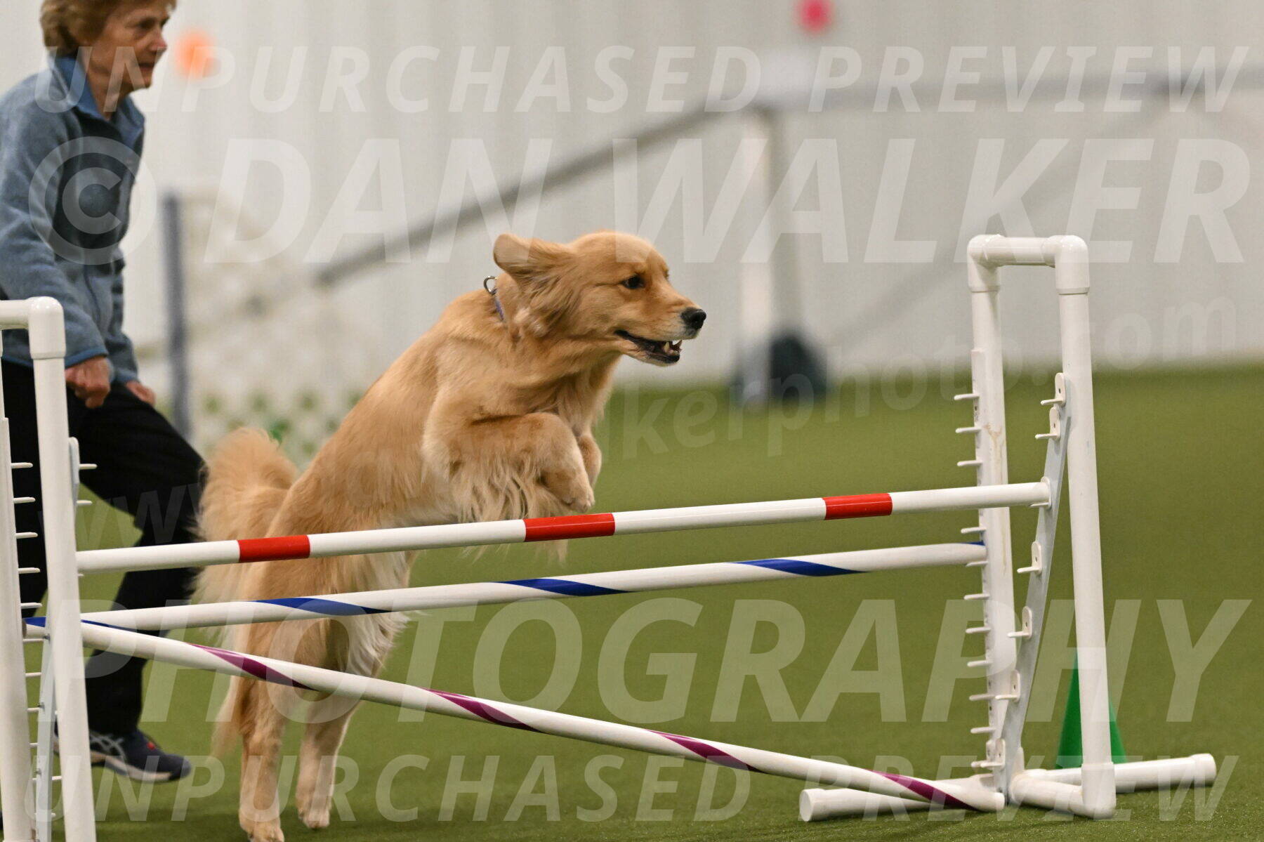 Kelly-Peggy-Abrams-06455