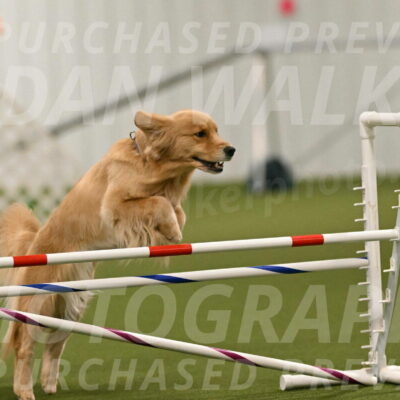 Kelly-Peggy-Abrams-06455