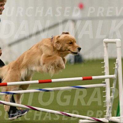 Kelly-Peggy-Abrams-06456