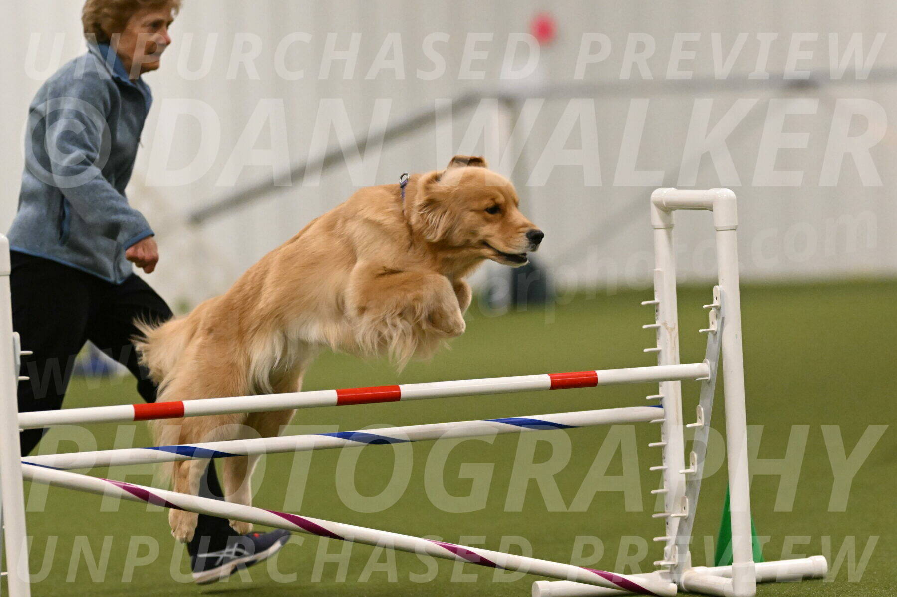 Kelly-Peggy-Abrams-06456