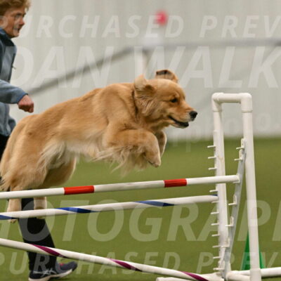 Kelly-Peggy-Abrams-06457