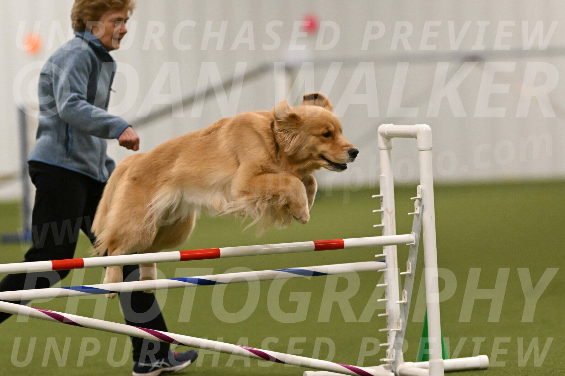 Kelly-Peggy-Abrams-06457