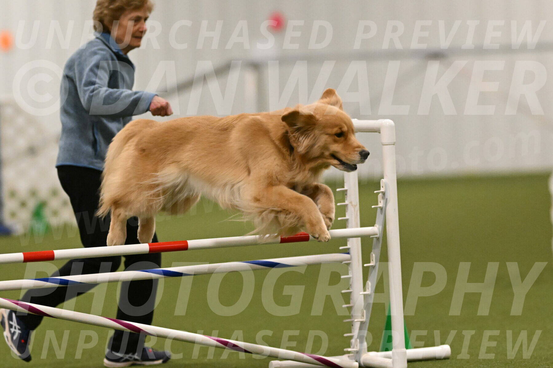 Kelly-Peggy-Abrams-06458