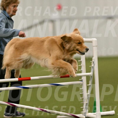 Kelly-Peggy-Abrams-06458