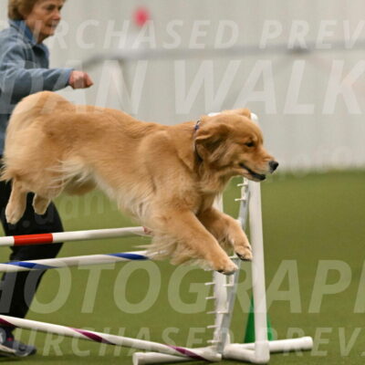 Kelly-Peggy-Abrams-06459