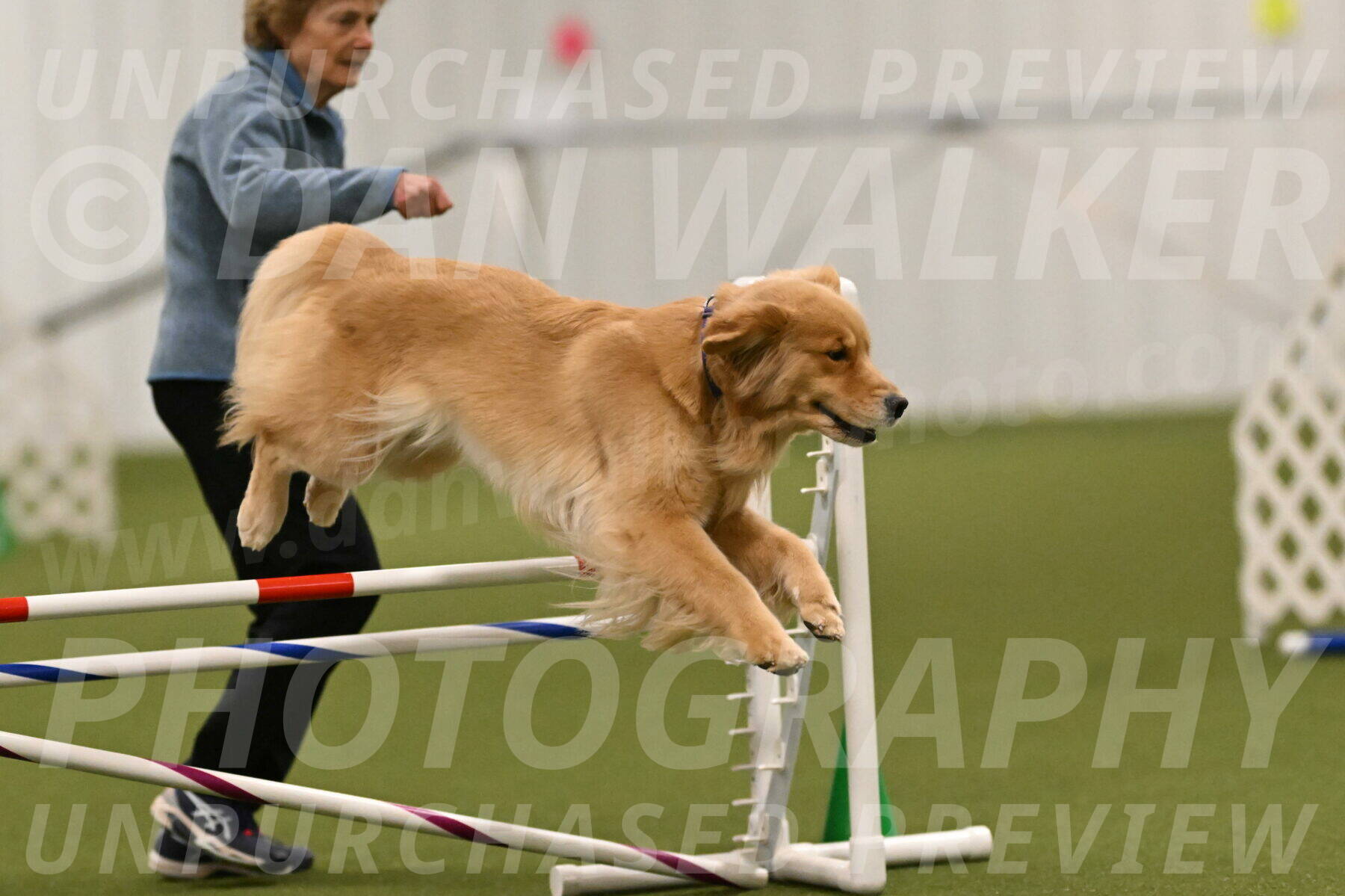 Kelly-Peggy-Abrams-06459