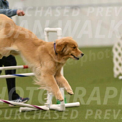 Kelly-Peggy-Abrams-06460